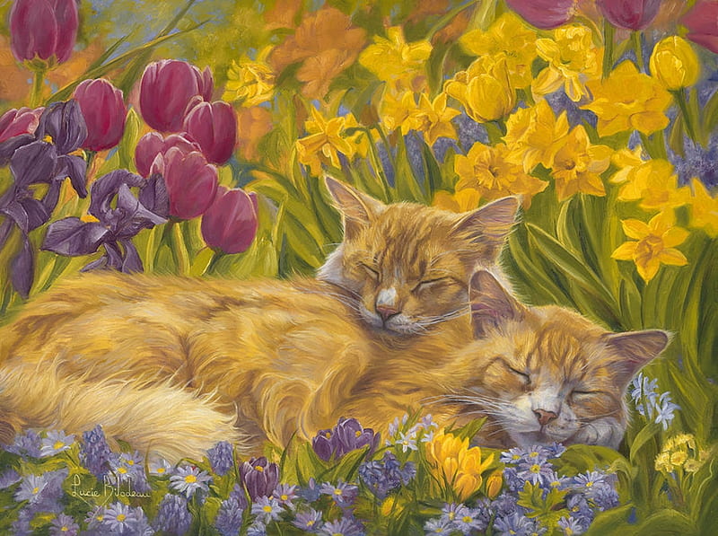 Nap time, art, sleep, yellow, nap, spring, cat, garden, flower, daffodil, painting, primavara, pisici, pink, pictura, couple, tulip, lucie bilodeau, HD wallpaper