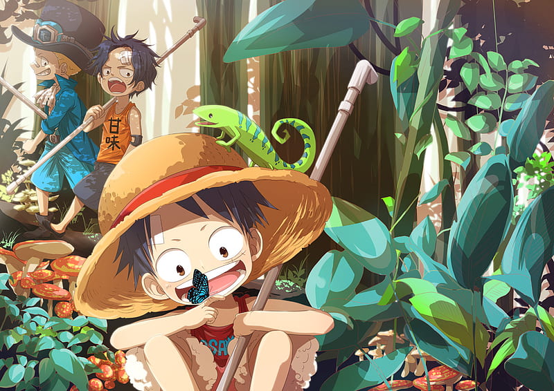 Exploring, pipes, smiling, one piece, happy, hat, portgas, boys, leaves, lizard, butterfly, anime, luffy, mushrooms, vegetables, kids, HD wallpaper
