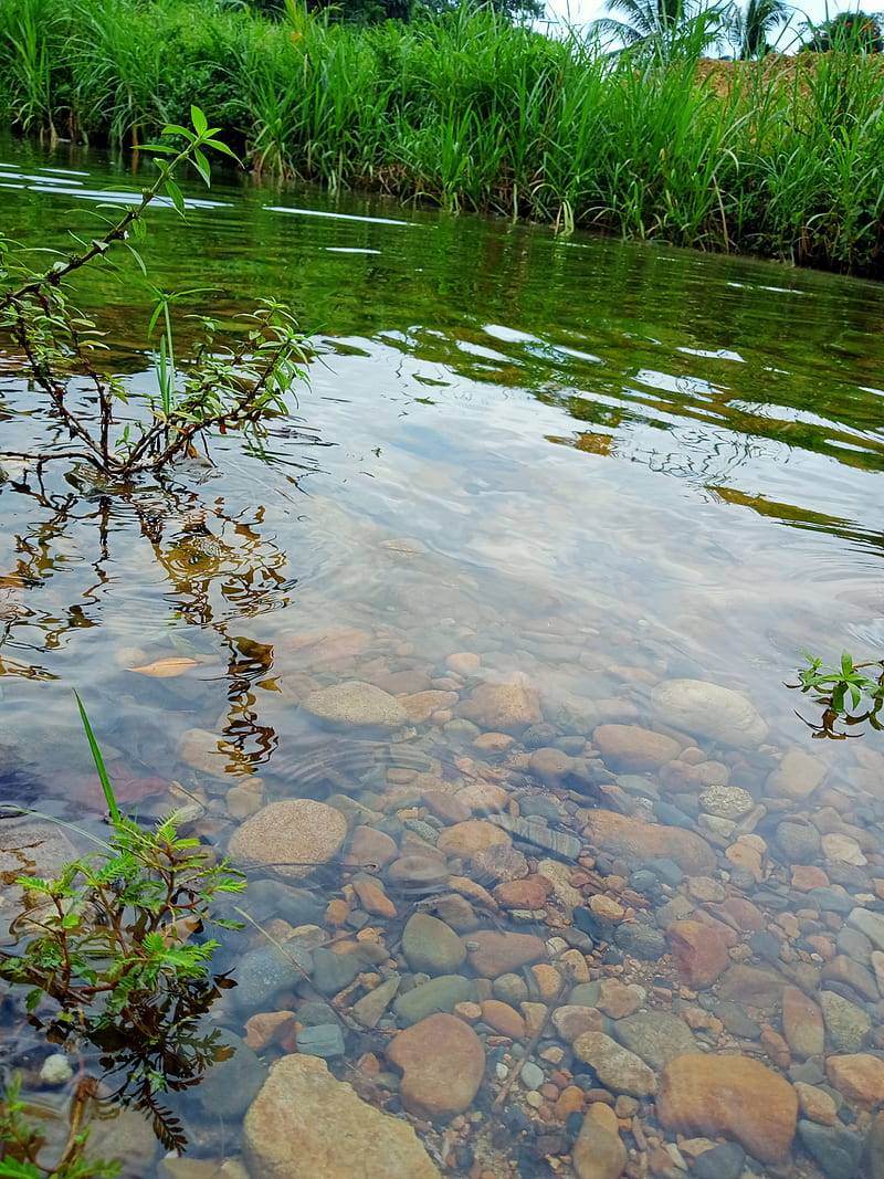 Small river, nature, rock, HD phone wallpaper