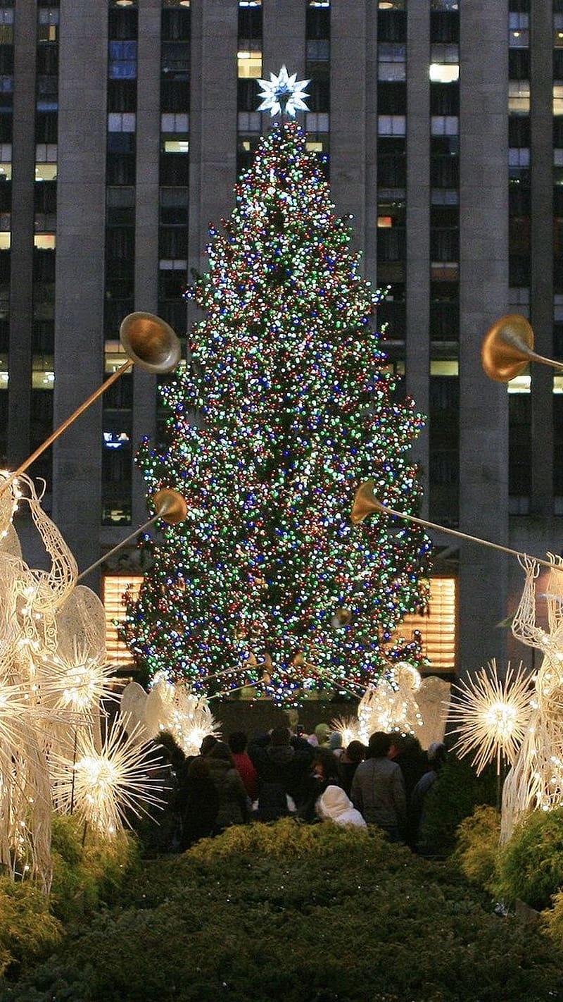Christmas Tree, Huge Tree, lighting, HD phone wallpaper