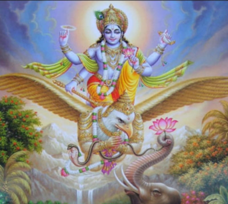 Vishnu, guarada, hinduism, supreme, hindu, india, lord, god, HD wallpaper
