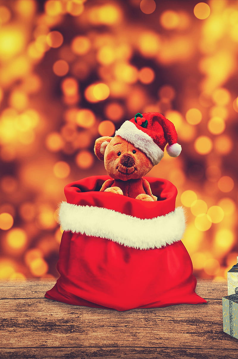 Christmas bear, christmas, christmas, decoration, holidays, santa, santa  claus, HD phone wallpaper | Peakpx