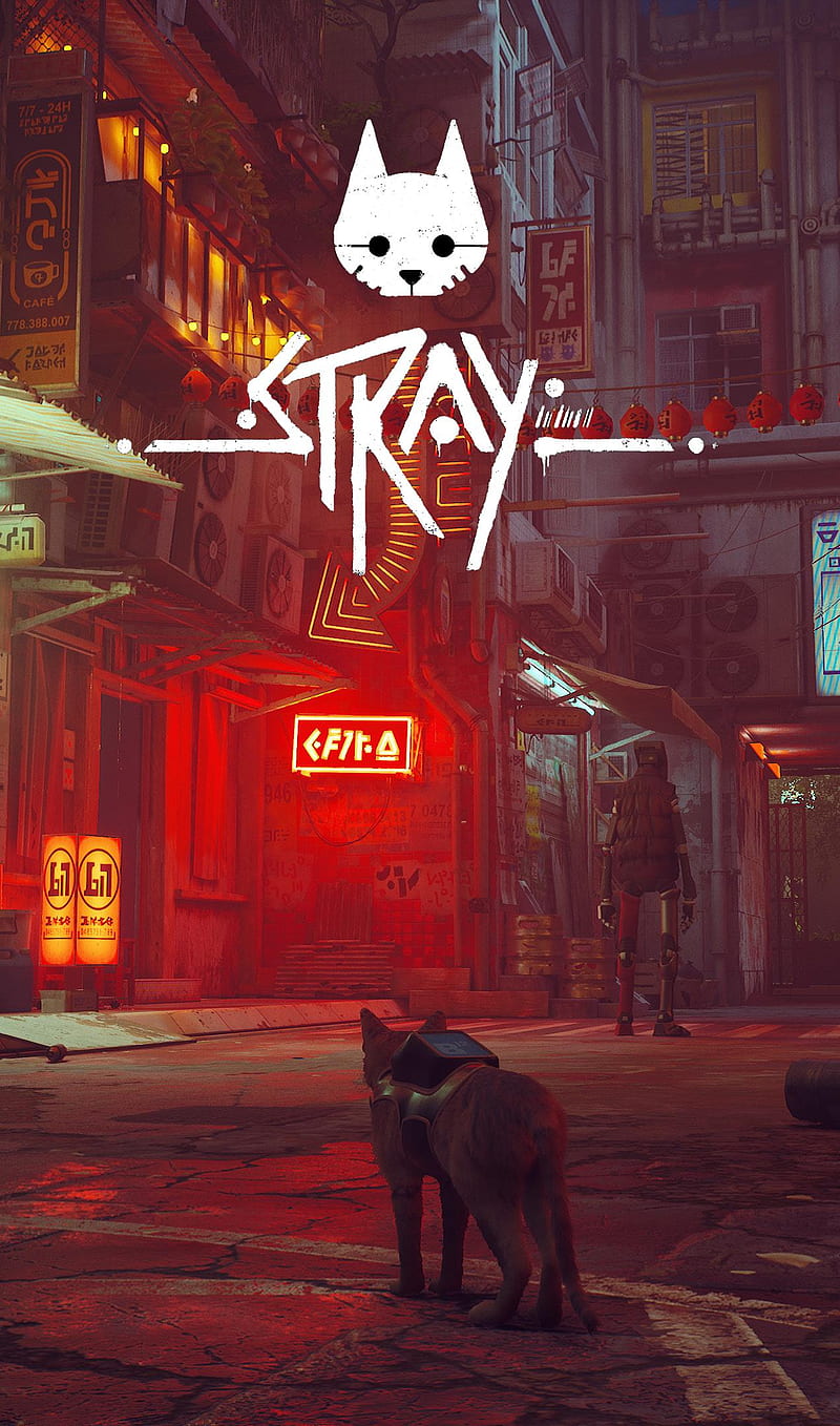 I Made Stray Phone That You May Like : R Stray, Stray Game, HD phone wallpaper
