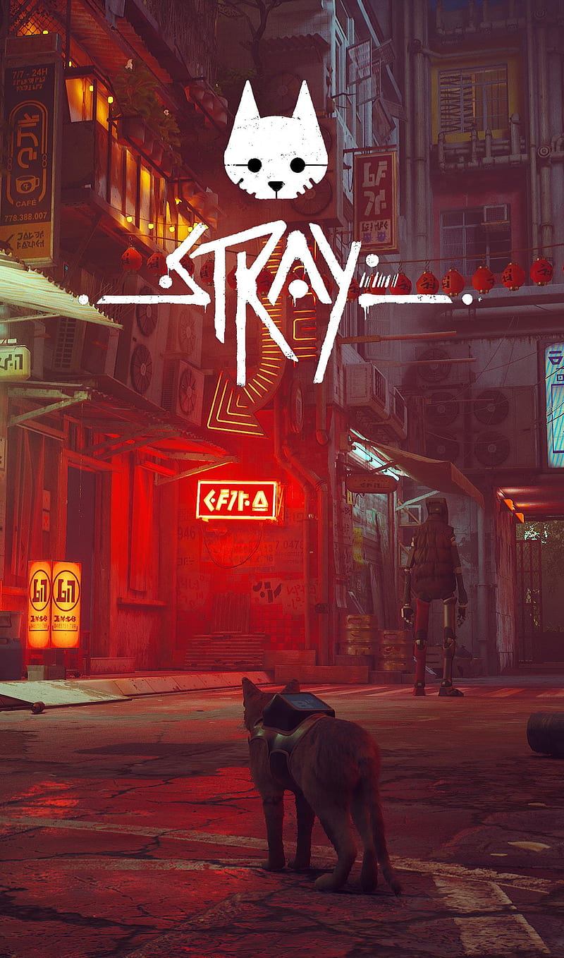 I Made Stray Phone That You May Like : R Stray, Stray Game, HD phone  wallpaper | Peakpx