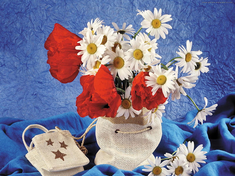 still life, red, blue shawl, poppies, flowers, bag, bonito, white, daisys, HD wallpaper