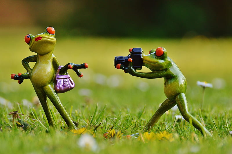 :D, frog, graph, green, summer, funny, couple, figurine, HD wallpaper