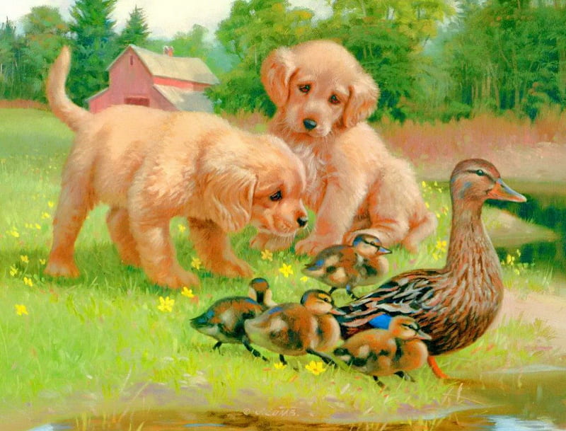 Follow the leader, house, grass, cottage, children, game, mother, puppies, painting, village, duckling, friends, animals, playing, art, leader, fun, joy, trees, lake, pond, water, garden, HD wallpaper