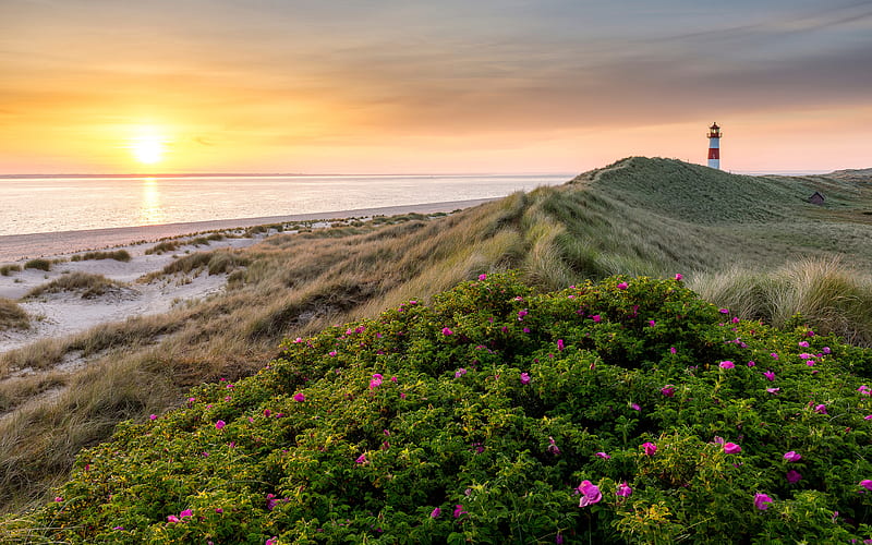 Ellenbogen evening landscapes, coast, lighthouse, Germany, Europe, beautiful nature, HD wallpaper