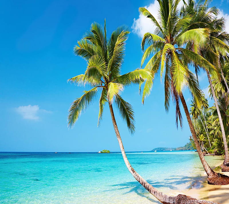 1920x1080px, 1080P free download | Tropical Beach, look, nice, HD ...