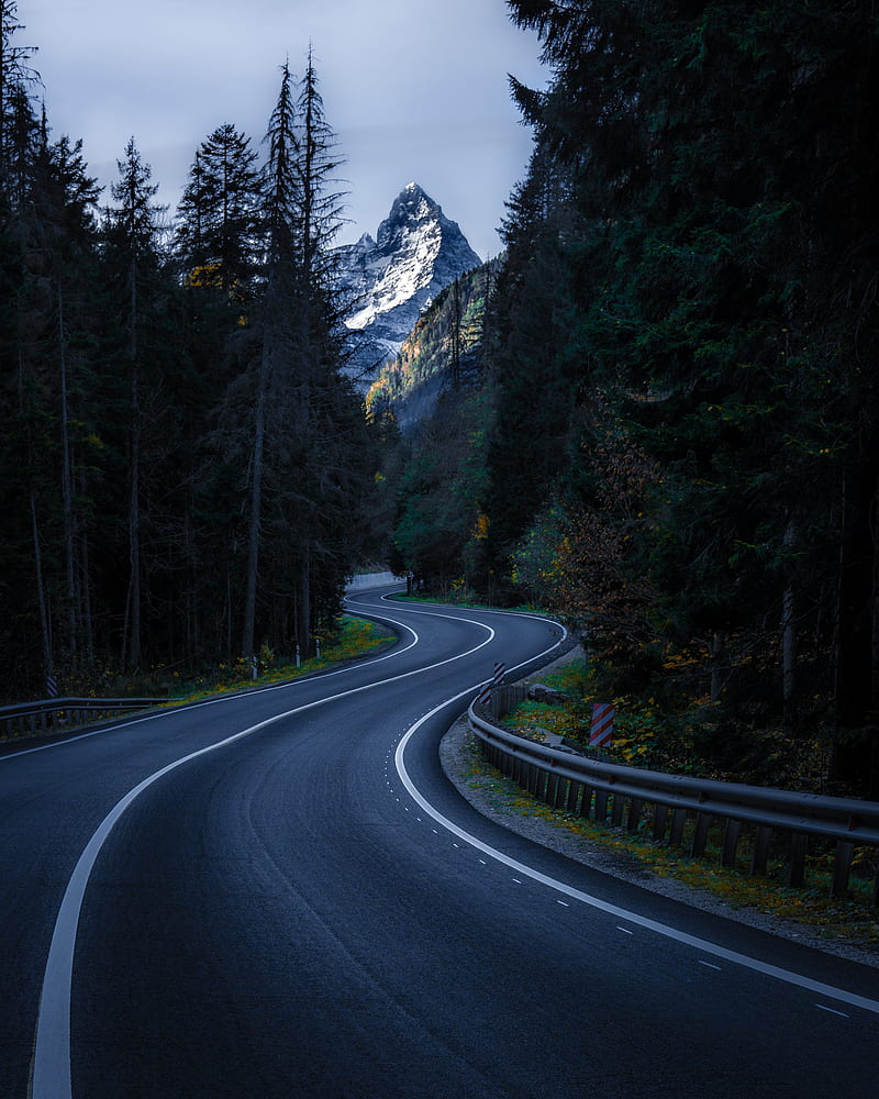 road, winding, mountain, peak, trees, nature, HD phone wallpaper