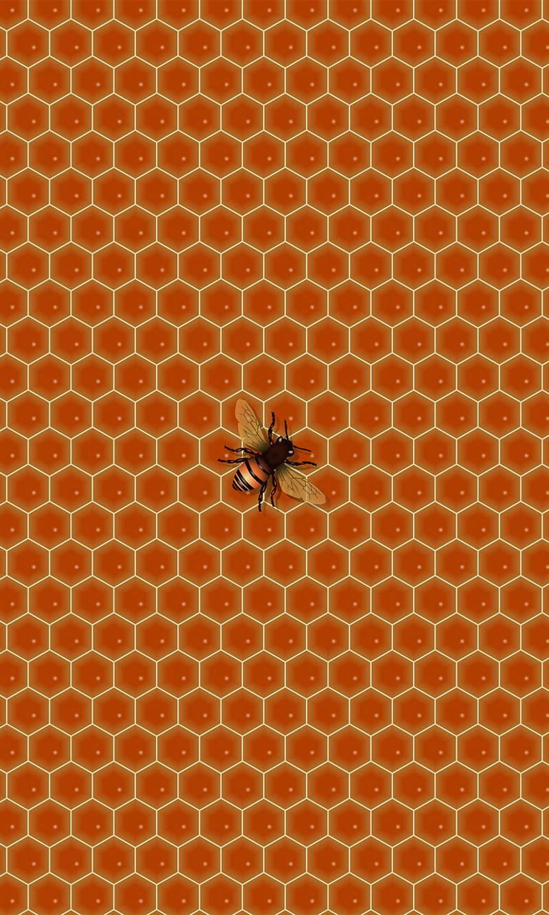 Honeycomb Pattern Background (PNG) | OnlyGFX.com