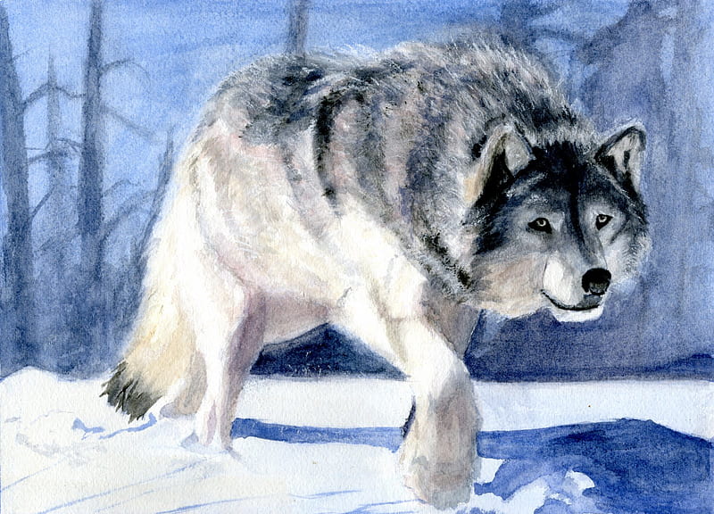 Wolf of the Snow, painting, wolves, large, drawing, HD wallpaper