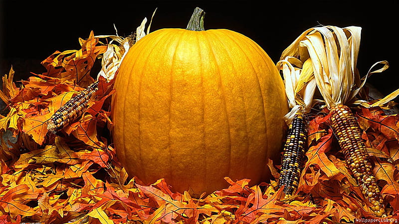 Autumn colors, autumn, leaves, decoration, pumpkin, colors, thanksgiving, HD wallpaper