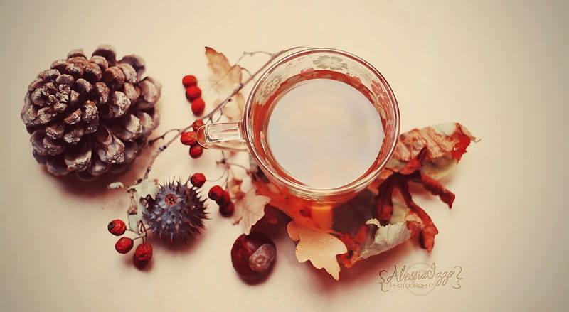 Autumnal, abstract, tea, fall, autumn, harvest, brown, softness, still life, graphy drink, HD wallpaper