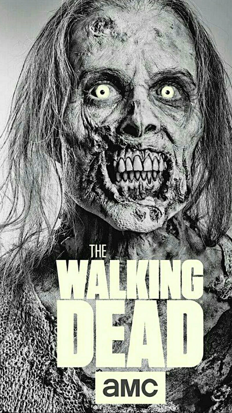The Walking Dead, fox, zombie, HD phone wallpaper