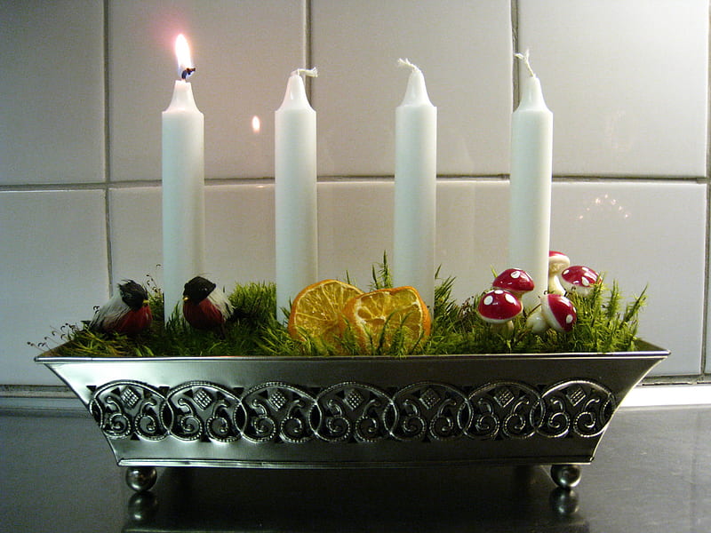 1 Advent, moss, box, candles, decorations, HD wallpaper