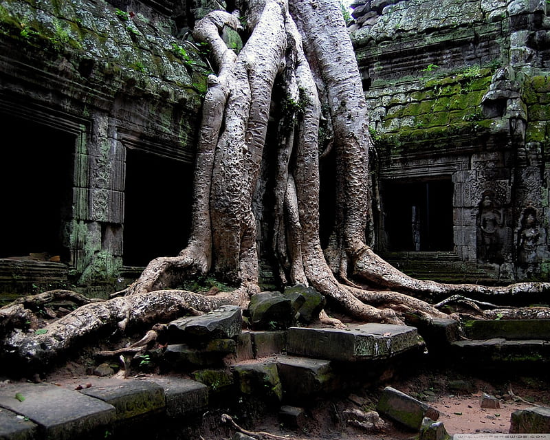 Angkor Wat Temple, Cambodia Ultra Background for U TV : Tablet : Smartphone, Old Places, HD wallpaper