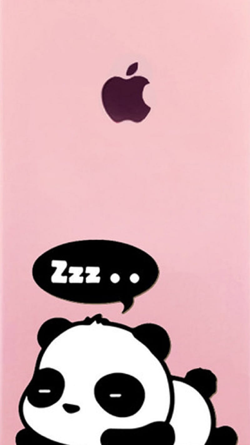Panda, cute, HD phone wallpaper