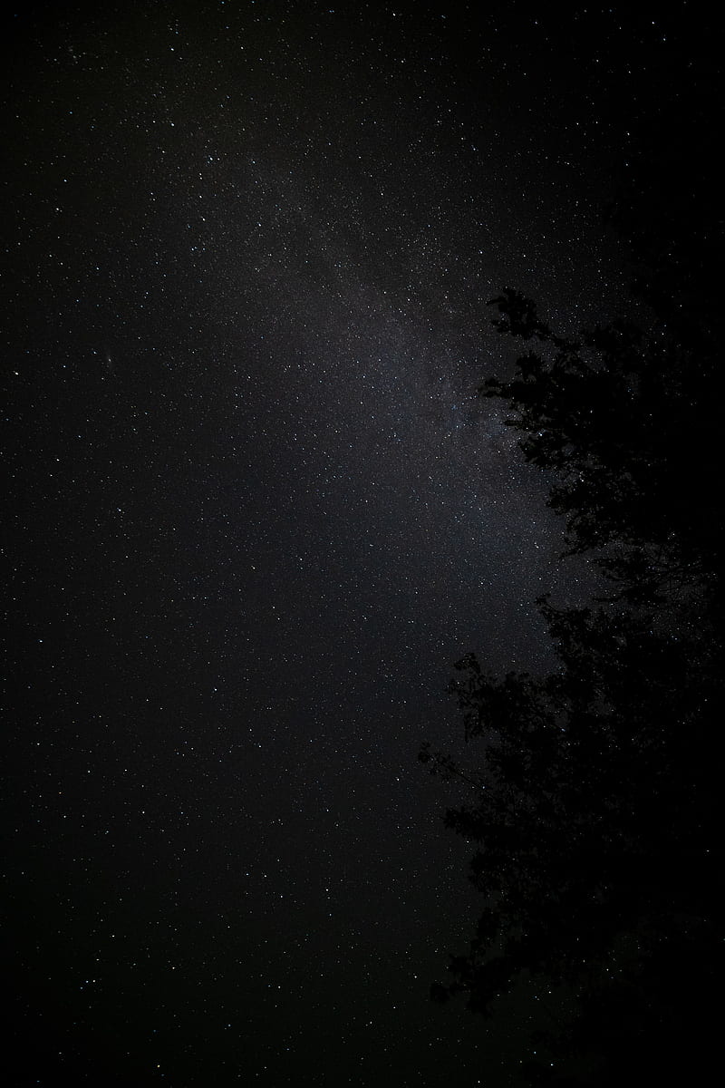 Night, Tree, Starry Sky, Stars, Nebula, Hd Phone Wallpaper 