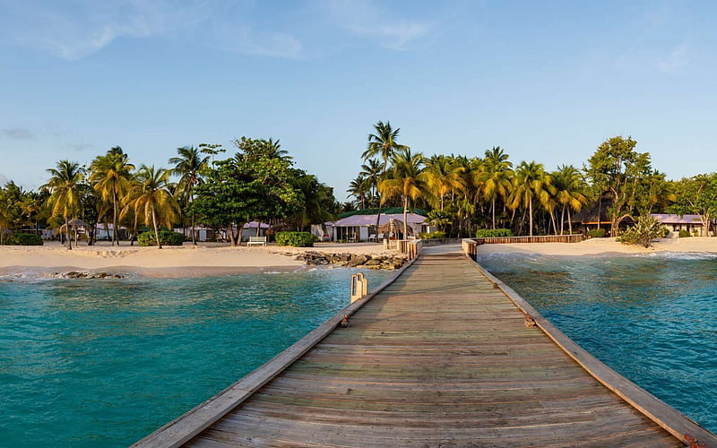 Caribbean palm island resort, resort, island, palm, caribbean, nature, HD wallpaper