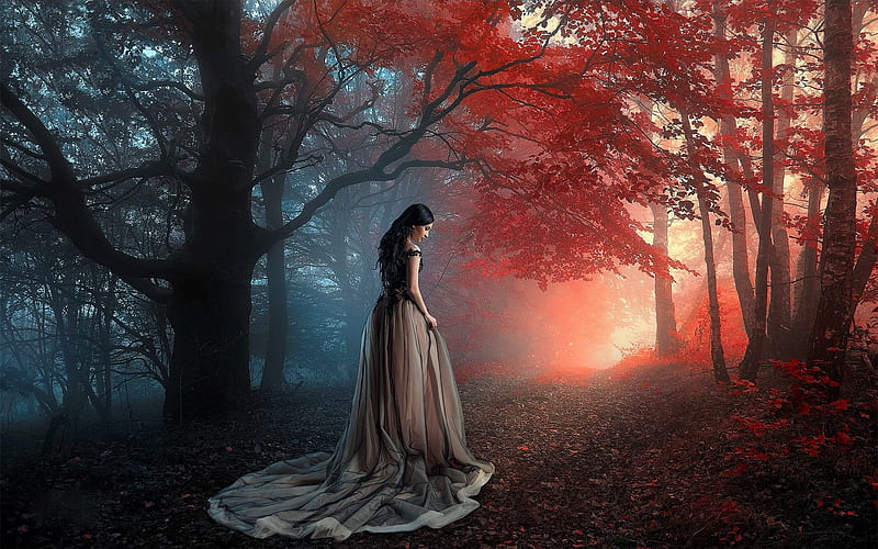 Woman in autumn forest, Fall, Forest, Dress, Woman, Fantasy, HD ...