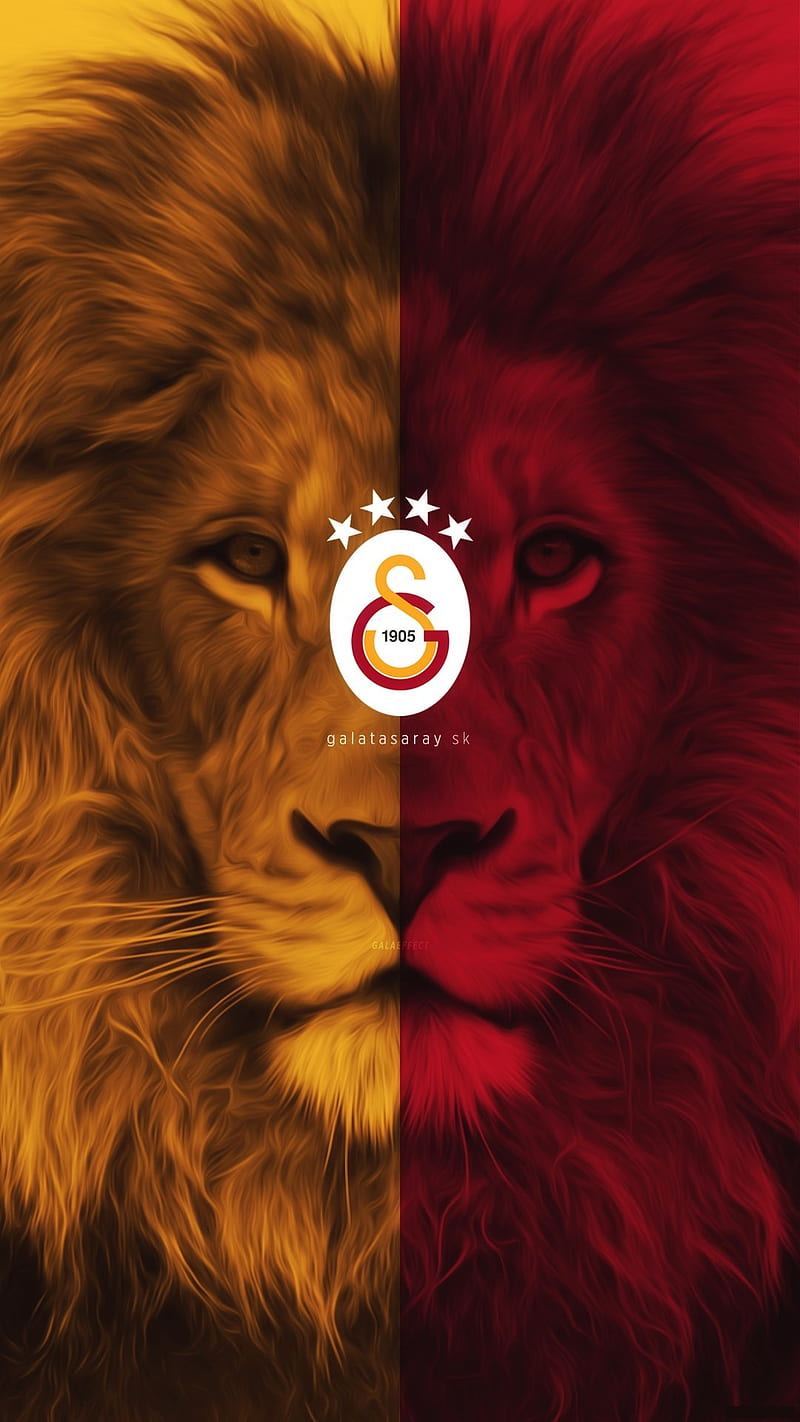 lion aslan gs, lion, symbol, HD phone wallpaper