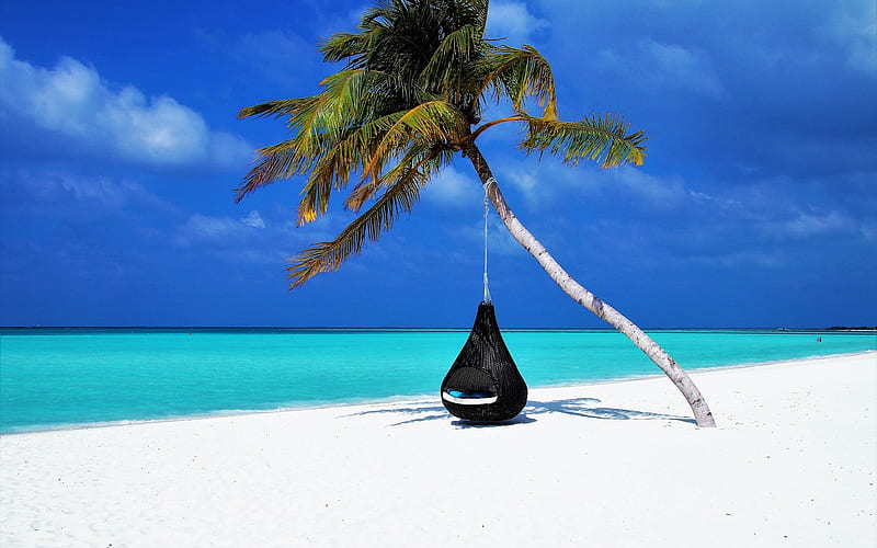 blue lagoon, beach, palm trees, round black pendant armchair, relaxation, rest, white sand, tropical islands, ocean, HD wallpaper