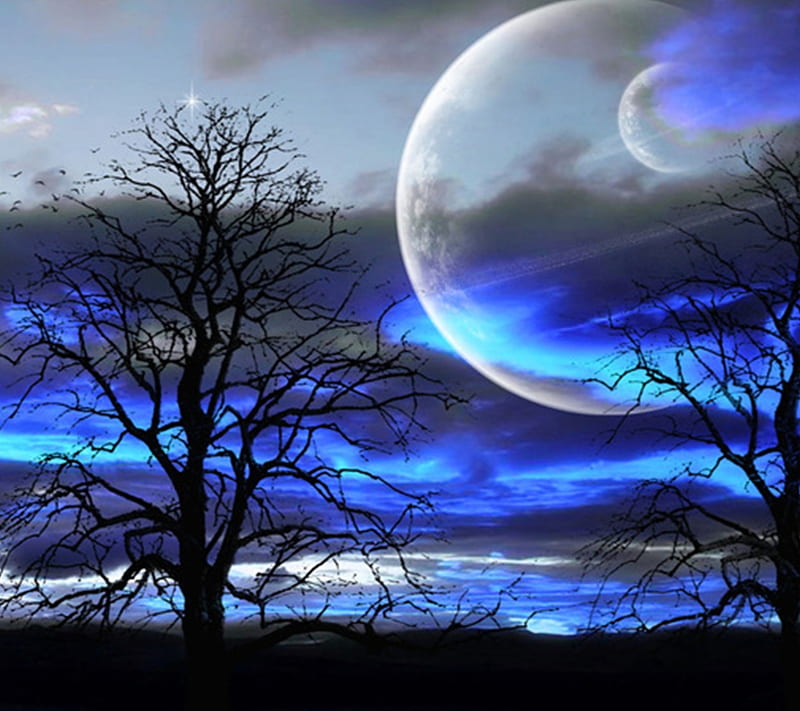 Night Time, moon, sky, trees, night, HD wallpaper | Peakpx