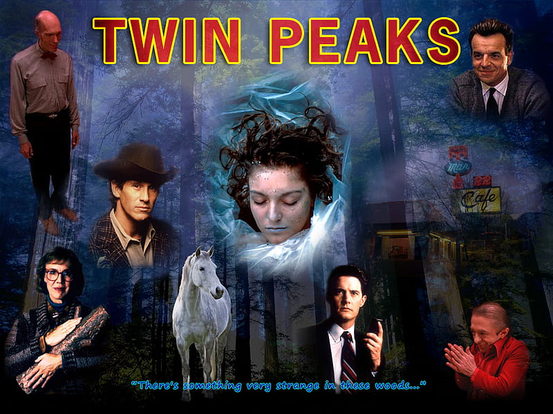 Twin Peaks 2, forest, series, dark, movies, television, tv, HD wallpaper