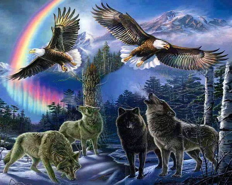 Salvaje, águilas, arco iris, lobos, Fondo de pantalla HD | Peakpx