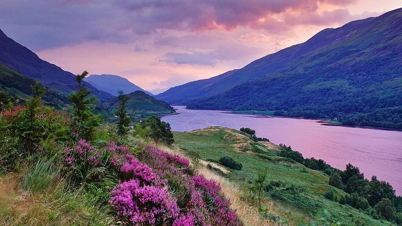 Riverside Bloom, mountain, riverside, flowers, nature, spring, clouds ...