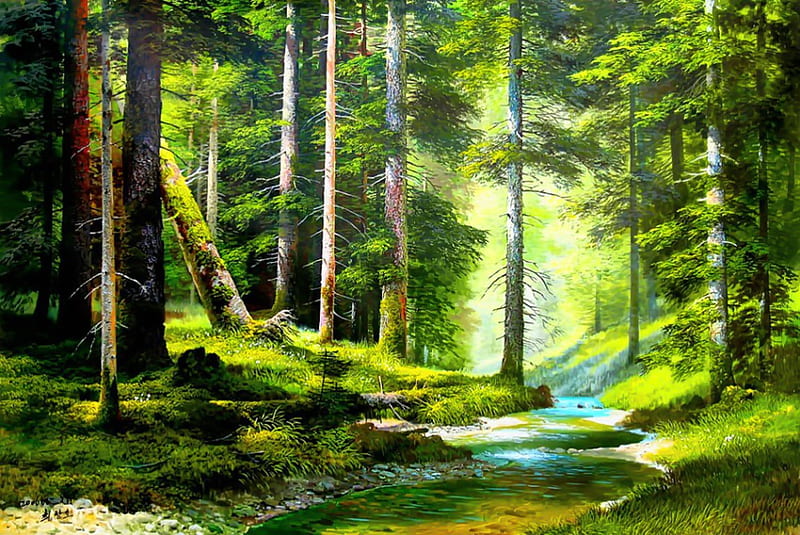 Forest creek, pretty, forest, stream, art, greenery, bonito, creek, trees, freshness, calm, serenity, rays, painting, nature, sunrise, HD wallpaper