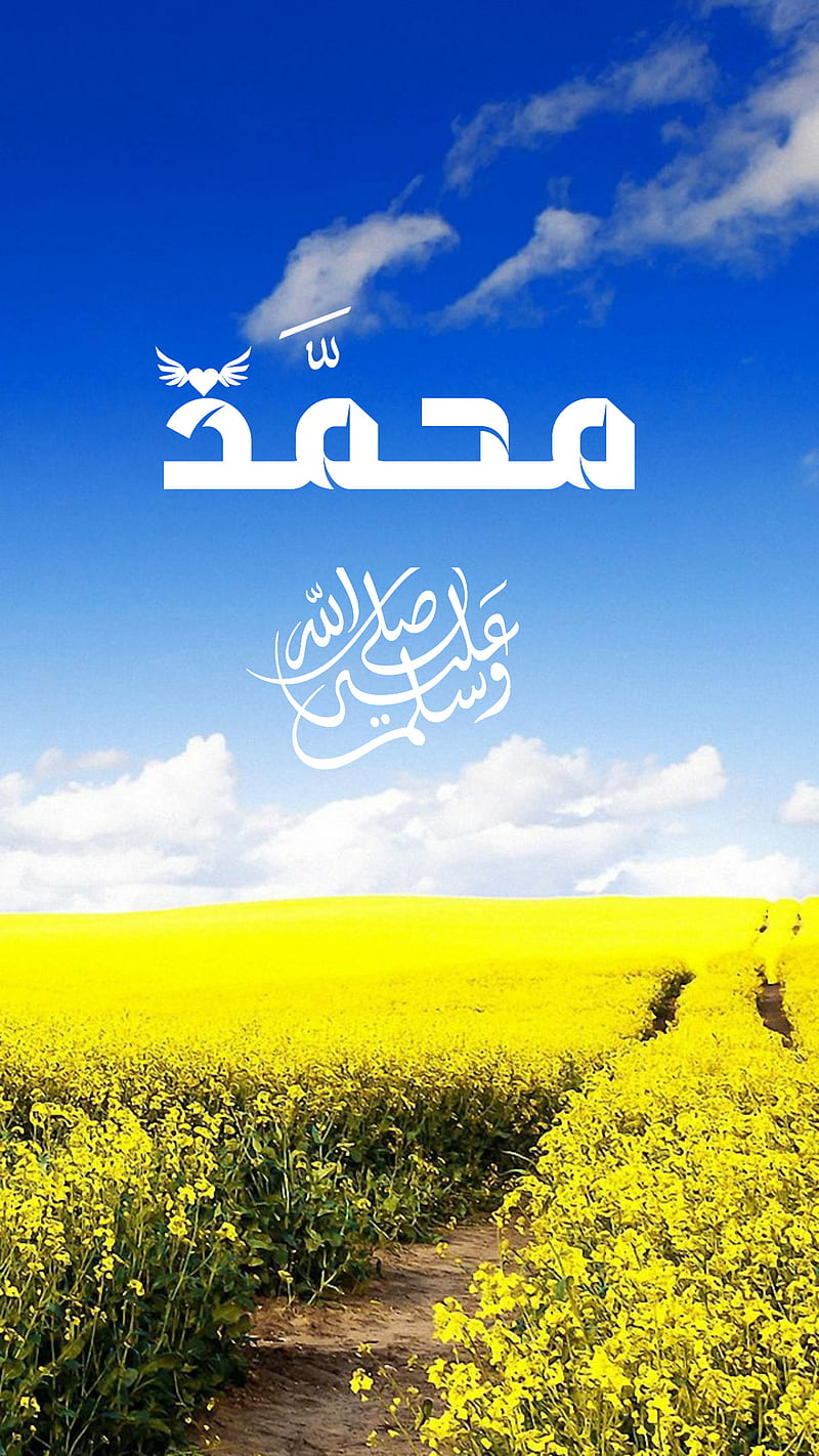 Prophet mohammad , allah, muslim, islamic, islam, god, athkar, arabic, sunshine, meadow, HD phone wallpaper