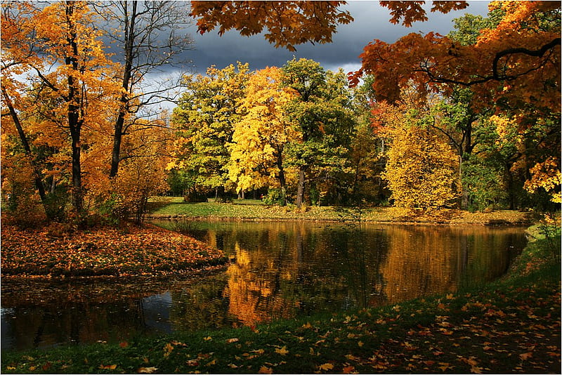 Autumn Reflection, art, water, autumn fall, colours, bonito, park ...