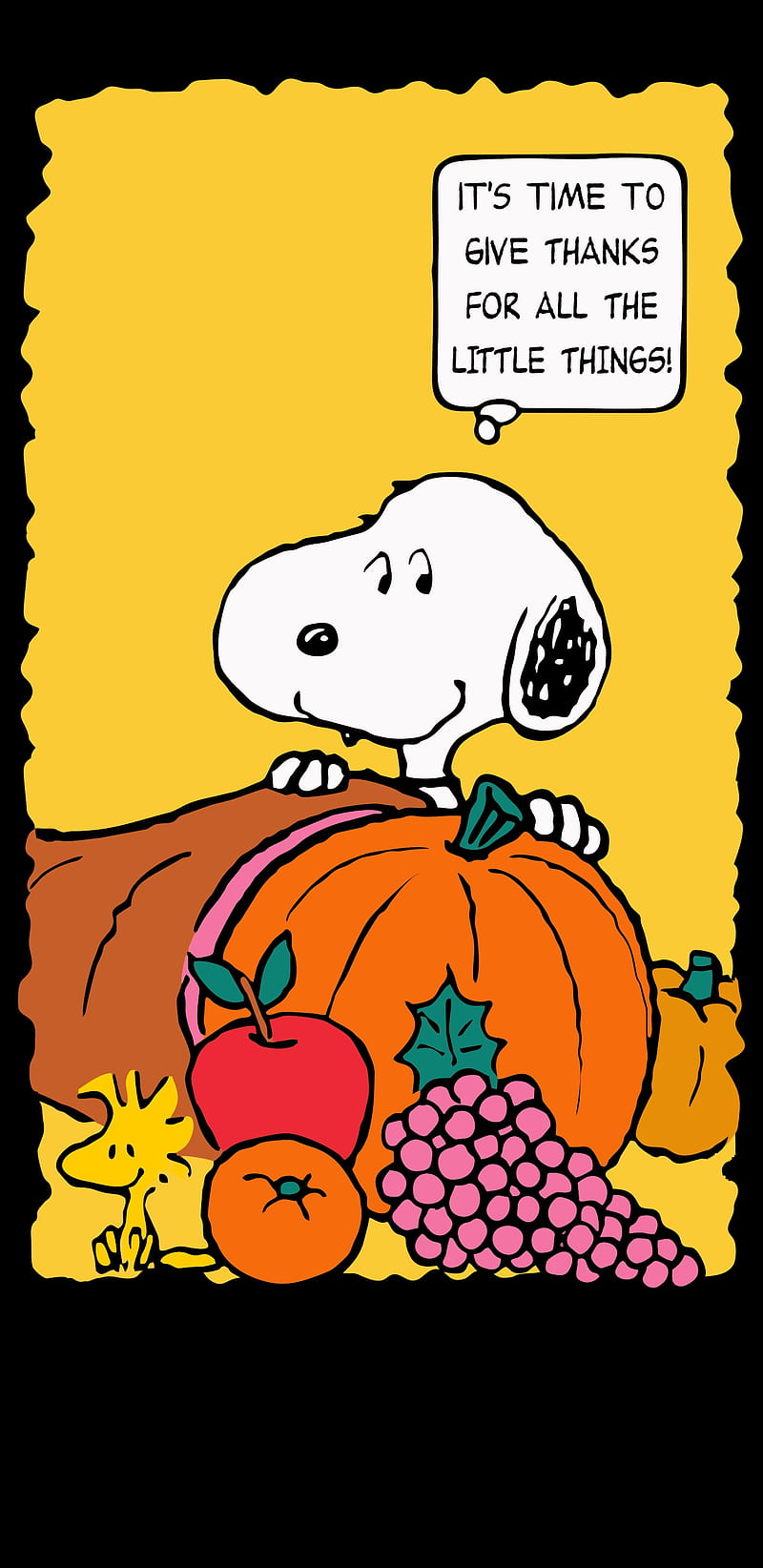 Peanuts Thanksgiving Wallpapers  Top Free Peanuts Thanksgiving Backgrounds   WallpaperAccess