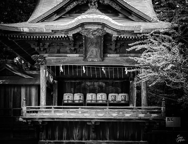 pagoda, roof, wooden, black and white, architecture, HD wallpaper