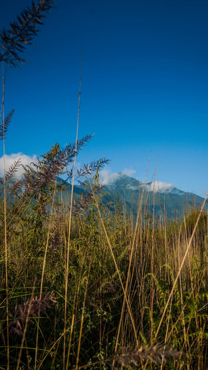 nepal, hills, landscape, mountains, nature, HD phone wallpaper