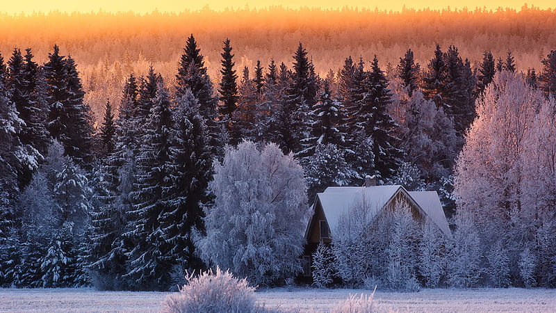 Winter Nestled Cottage, forest, snow, cottage, sunset, winter, HD wallpaper