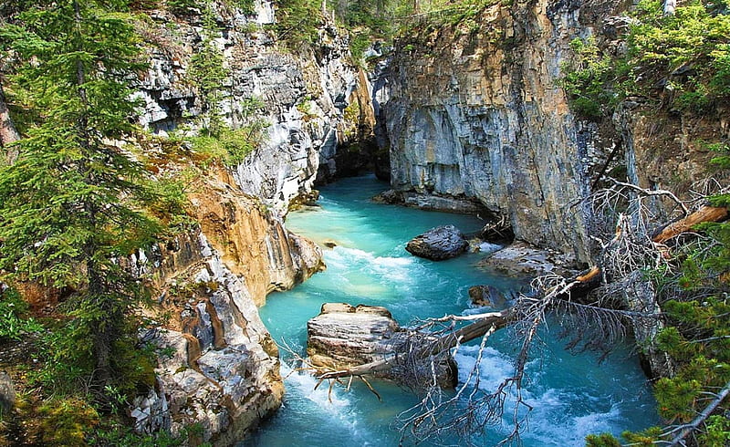 Kootenay National Park, British Columbia, forest, rocks, Canada, turquoise water, Marble canyon, river, cliff, bonito, HD wallpaper