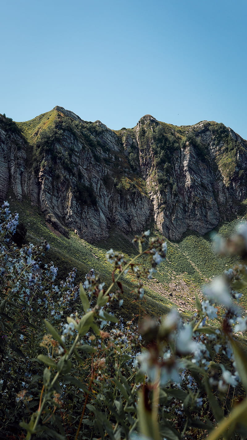 mountain, cliff, landscape, nature, wild, HD phone wallpaper