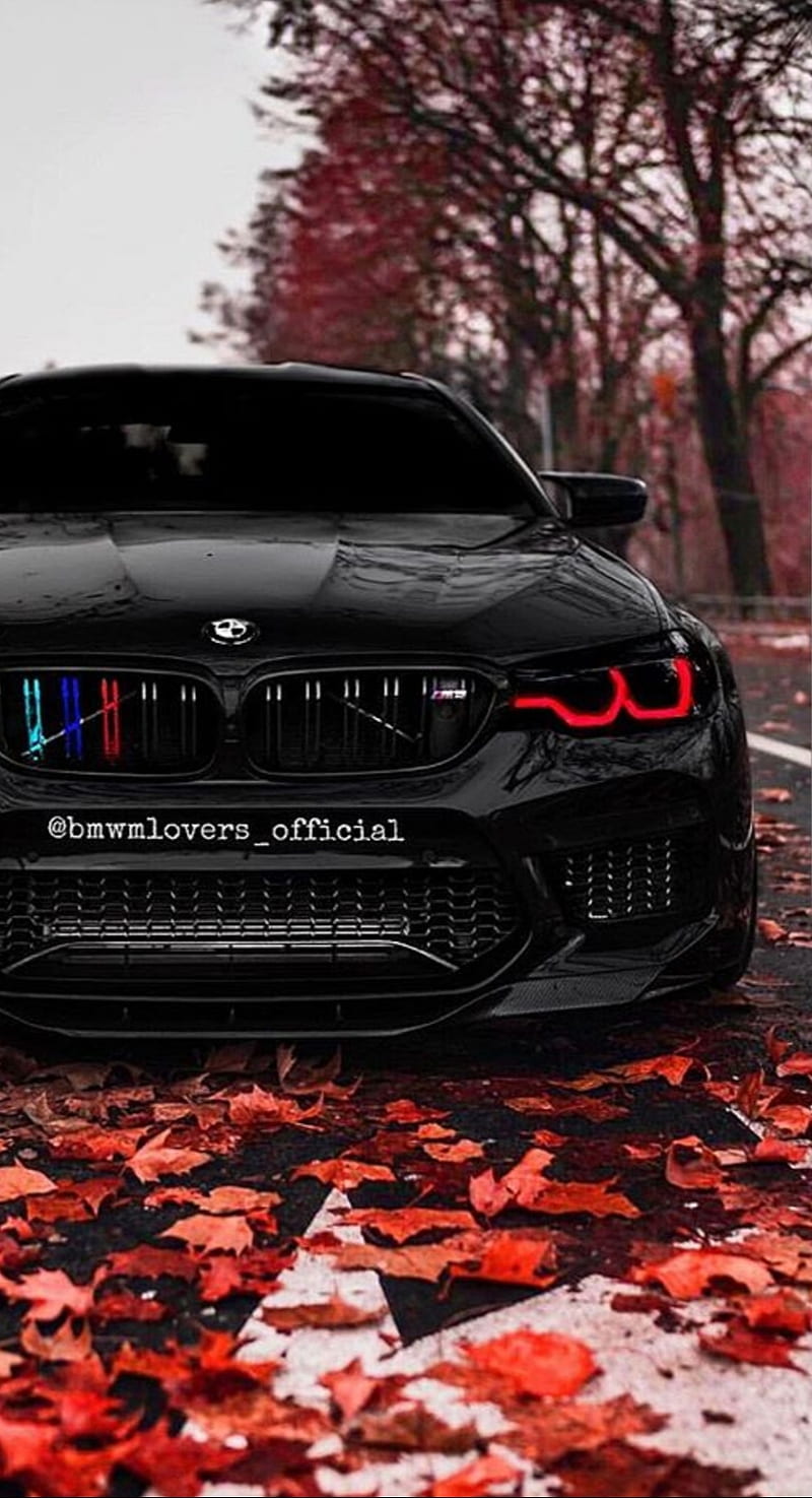 HD wallpaper: black BMW E39, car, machine, Wallpaper, tuning, is