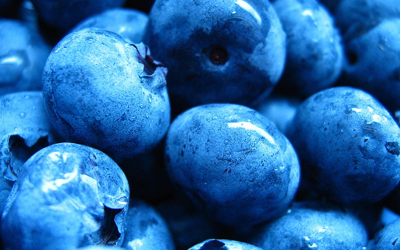 blueberries-sweet foods, HD wallpaper