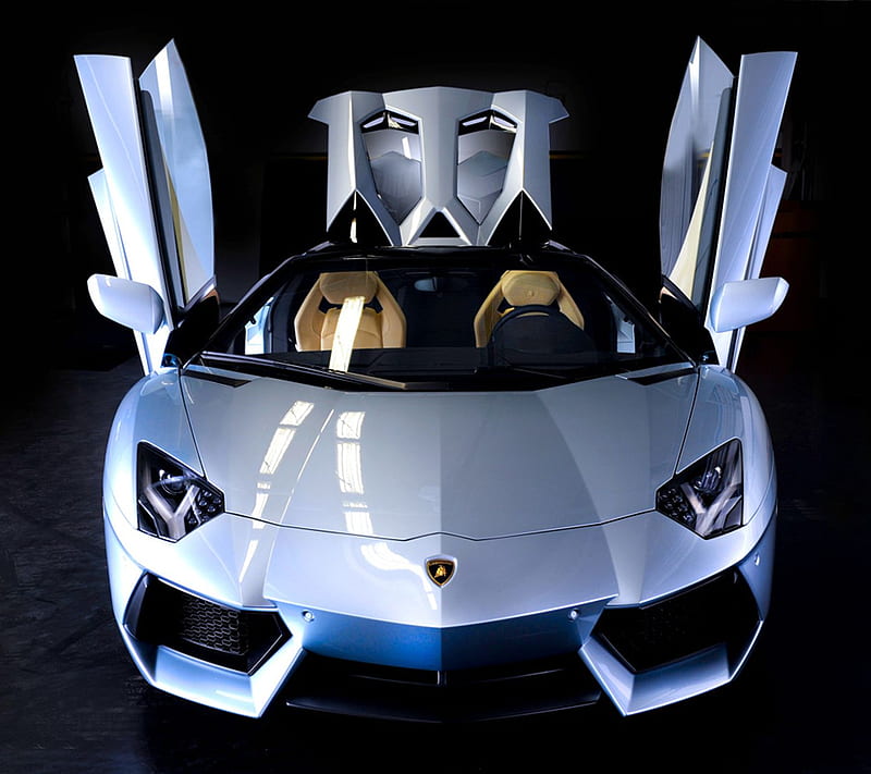 Lamborghini aventado, auto, aventador, coche, guay, nuevo, terehan,  vehículo, Fondo de pantalla HD | Peakpx