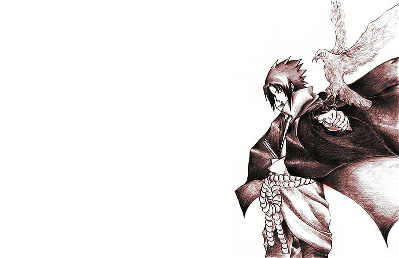 Uchiha Sasuke, sasuke, white background, naruto shippuden, spiky hair,  bird, HD wallpaper | Peakpx