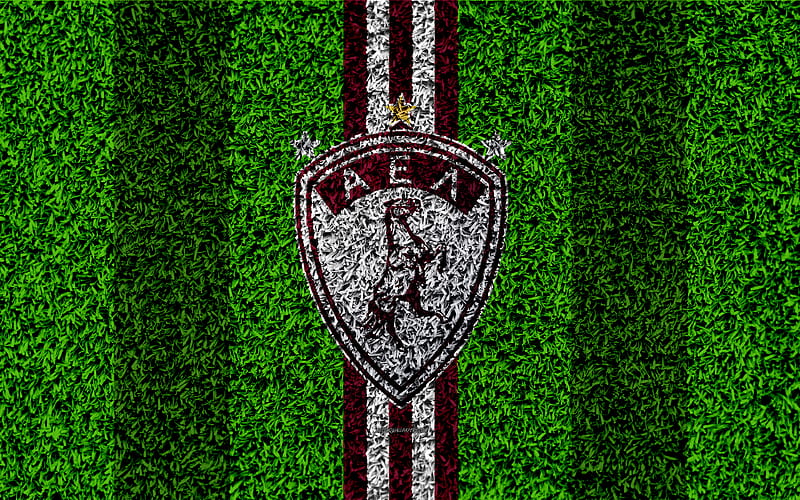 AEL Larissa FC, logo football lawn, Greek football club, burgundy white lines, grass texture, Atlantiki-Enosi-Larissa, Greece, Superleague Greece, football, HD wallpaper