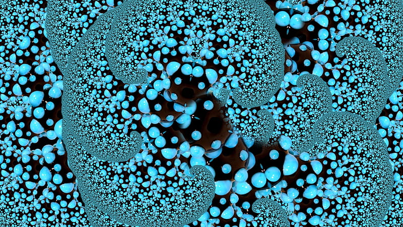 knoby sea fan fractal, seafan, gel, black, coral, sea, aquatic, water, fractal, lifeform, fan, organic, creature, blue, shiny, HD wallpaper