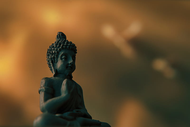 Buddha, buddhism, figurine, sculpture, HD wallpaper | Peakpx