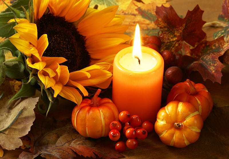 Autumn Still Life, candle, Fall, sunflower, gourds, leaves, flame, berries, Autumn, pumpkins, HD wallpaper