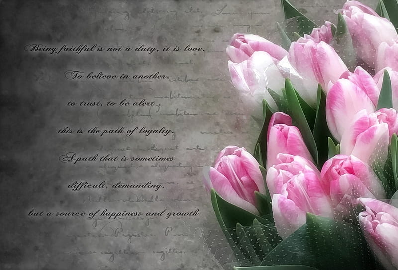 Loyalty, TULIPS, TO, SOMEONE, HD wallpaper