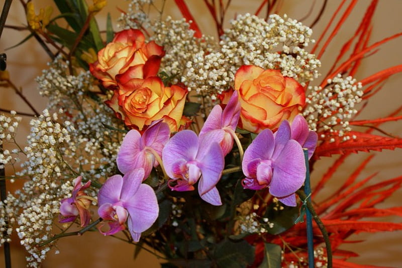Orange Red Roses and Orchids, orchids, bouquet, flowers, vase, roses, HD wallpaper
